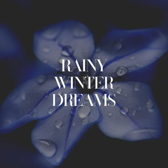 Rainy Winter Dreams, Pt. 14