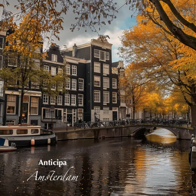 Amsterdam - Music Box Lullaby