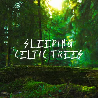 Sleeping Celtic Trees by World of Celtic Music