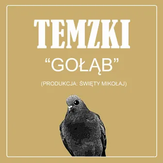 Gołąb by Temzki