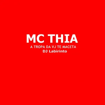 A Tropa da Vj Te Maceta by DJ Labirinto