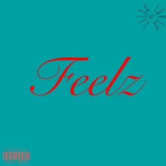 Feelz by Xavier Maison