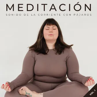 Meditación: Sonido De La Corriente Con Pájaros Vol. 1 by Pájaros Escandinavos