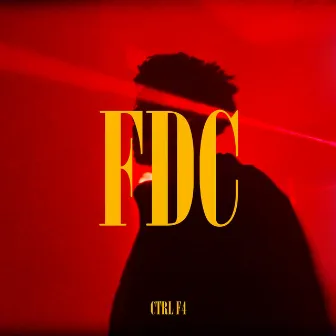 FDC by Ctrl F4