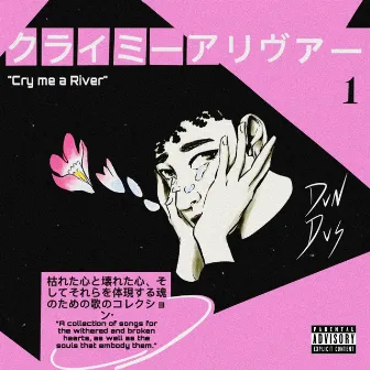 Cry me a River by Dvn Dvs