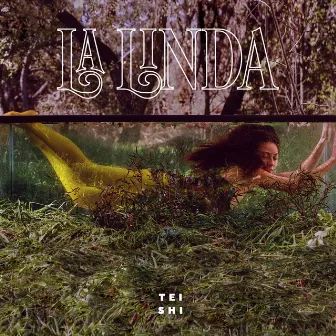 La Linda by Tei Shi