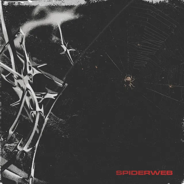 Spiderweb