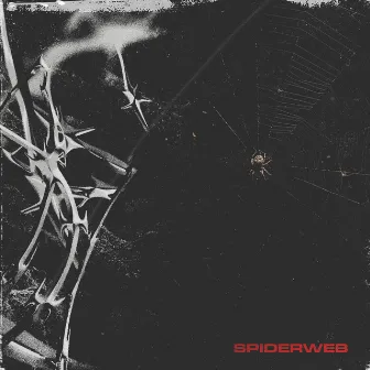 Spiderweb by Frontières