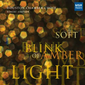 Soft Blink Of Amber Light by Unknown Artist