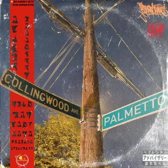 Collingwood and Palmetto by Ajent O