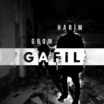 Gafil by Harim