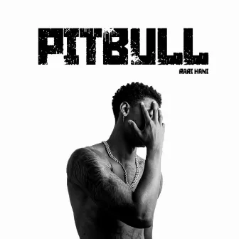 Pitbull by Rari Hani