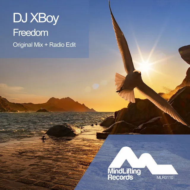 Freedom - Radio Edit