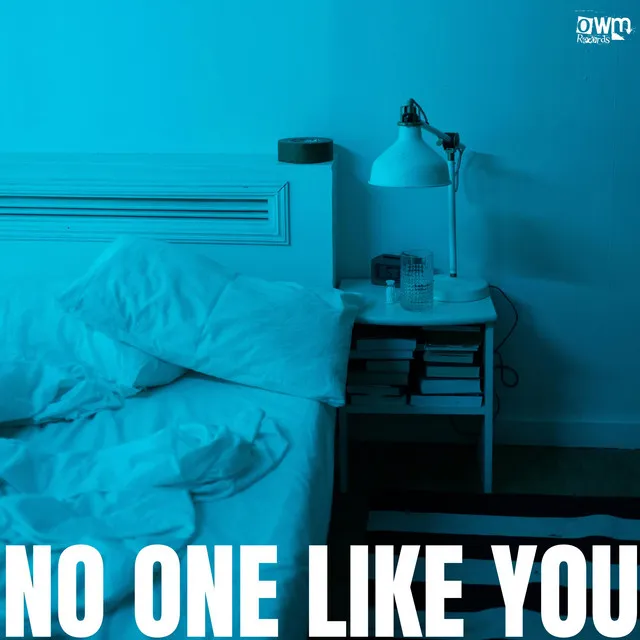 No One Like You