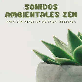 Sonidos Ambientales Zen Para Una Práctica De Yoga Inspirada by 