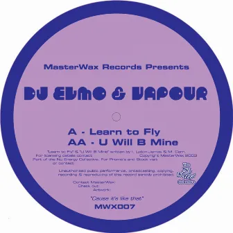 Learn To Fly / You'll Be Mine by Vapour