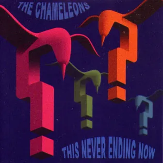 This Never Ending Now by The Chameleons