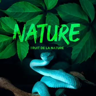 Nature by Bruit De La Nature