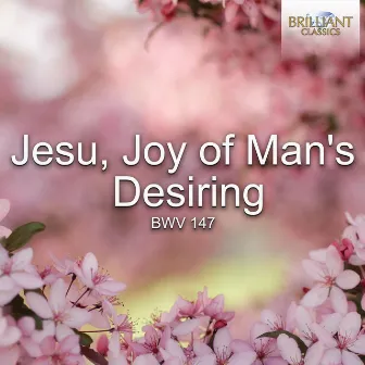 Jesu, Joy of Man's Desiring, BWV 147 by Antonio Ballista