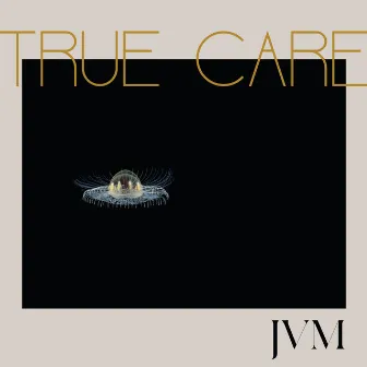 True Care by James Vincent McMorrow