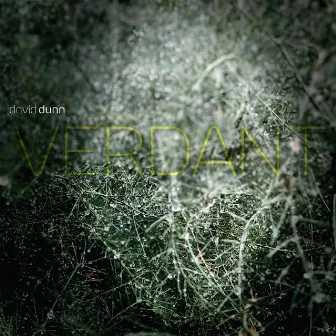 Verdant by David Dunn