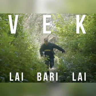 Lai Bari Lai by Vek