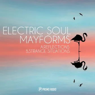 Reflections / Strange Situations by Electric Soul