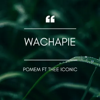 Wachapie by 