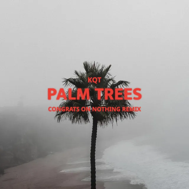 Palm Trees - Congrats on Nothing Remix