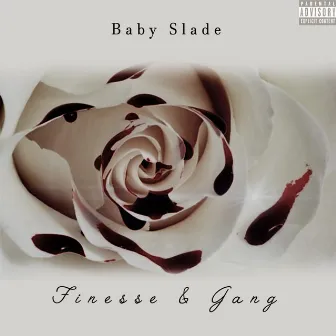 Finesse & Gain by Baby Slade