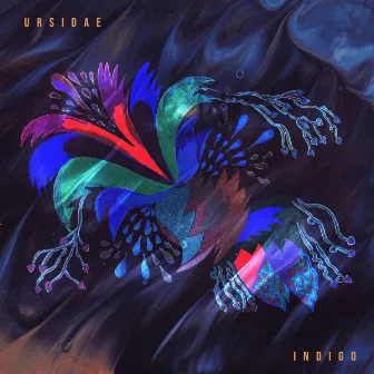 Indigo by Ursidae