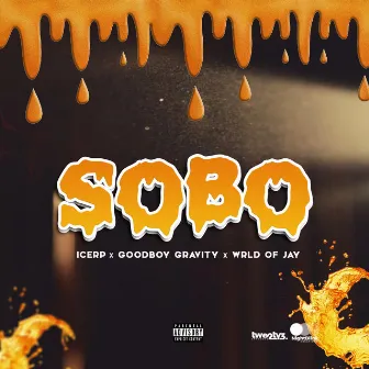 Sobo by Goodboy Gravity