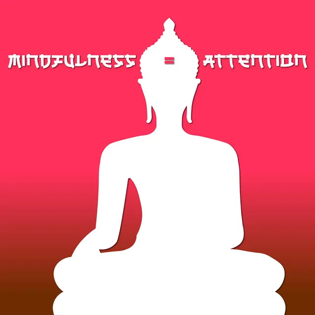 Mindfulness = Attention (Hindu Meditation Practice)