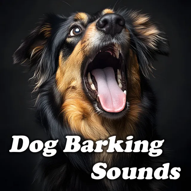 Loud Dog Barks