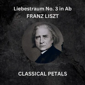 Liebestraum No. 3 in A-Flat (Love Dream) by Classical Petals