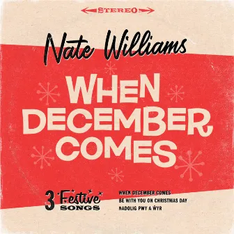 When December Comes by Nate Williams