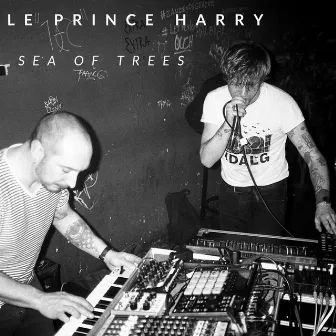 Sea Of Trees by Le Prince Harry