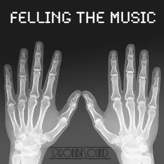 Feeling The Music by Prohibi Sound