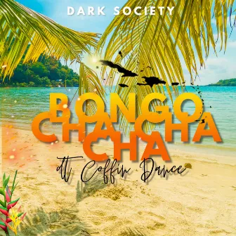 Bongo Cha Cha Cha (Bongo ChaChaCha) by Dark Society