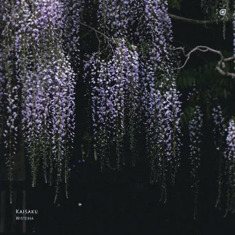 Wisteria by Kaisaku