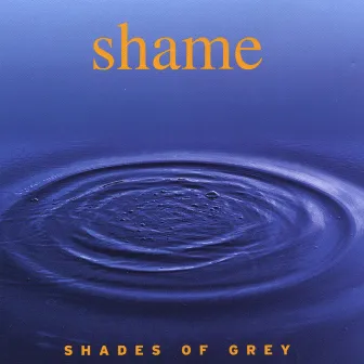 Shades of Grey by Shame