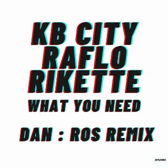 What You Need (DAN:ROS Remix) by KB City