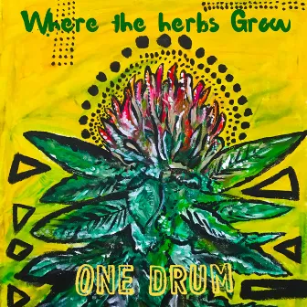 Where the Herbs Grow by One Drum