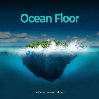 Ocean Floor by Unknown Artist