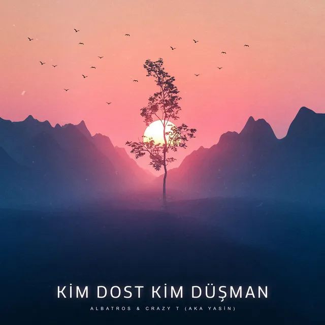 Kim Dost Kim Düşman