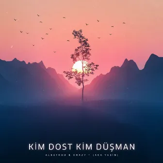 Kim Dost Kim Düşman by Albatros