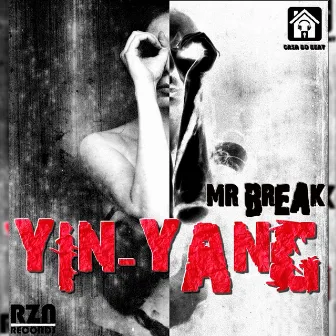 Yin Yang by Mr Break