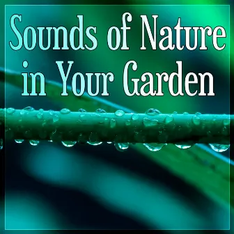 Sounds of Nature in Your Garden – Beautiful Natural Spa Music Collection with Nature Sounds & Healing, Meditation & Relaxation, Sound Therapy by Awesome Nature Sounds Ensemble