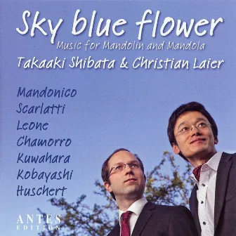 Sky Blue Flower by Takaaki Shibata