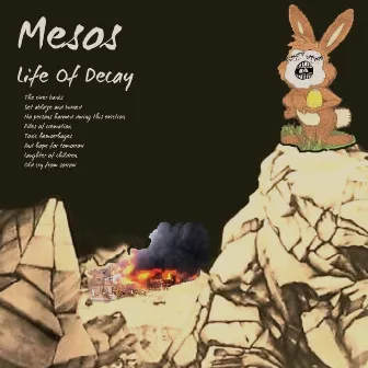 Life Of Decay by Mesos